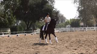 Charlotte Dujardin clinic day one part one