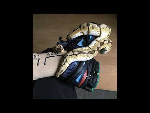 (FREE) Gunna x Nav x Travis Scott Type Beat - "Snakes" | Free Type Beat | Rap Instrumental