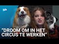 Maaike en haar honden zijn 'The Dancing Collies'