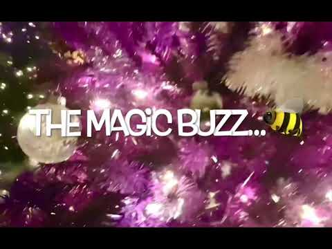 🌟 Starring ✨The Magic Buzz...💫