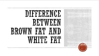 Difference Between Brown Fat and White Fat