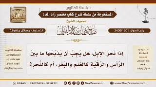 [3436/1201] هل تنحر الإبل في اللبة أم تذبح في الحلق كالغنم؟