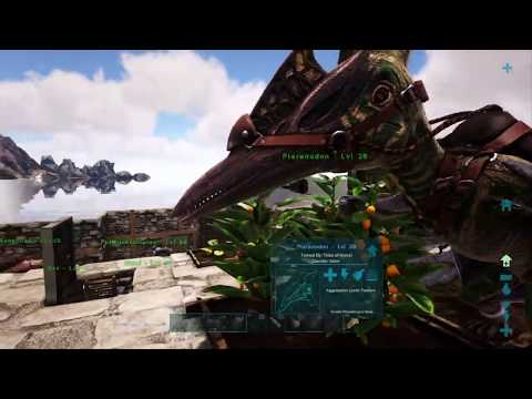 Episode 87: Journey Back to Viking Bay - Ark: Ragnarok Survival Guide