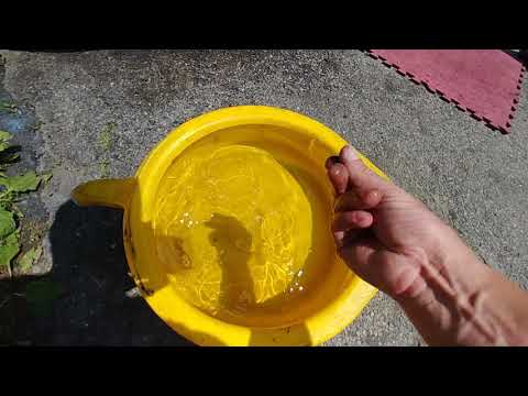 1997 Mercedes S600 coupe repairs. Thermostat, coolant hose, A/C condenser, etc. Part 1