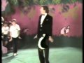 Don Spencer Fairy Penguin Strut