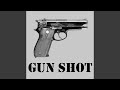 Gunshot Ringtone/Text Alert Sound Effect