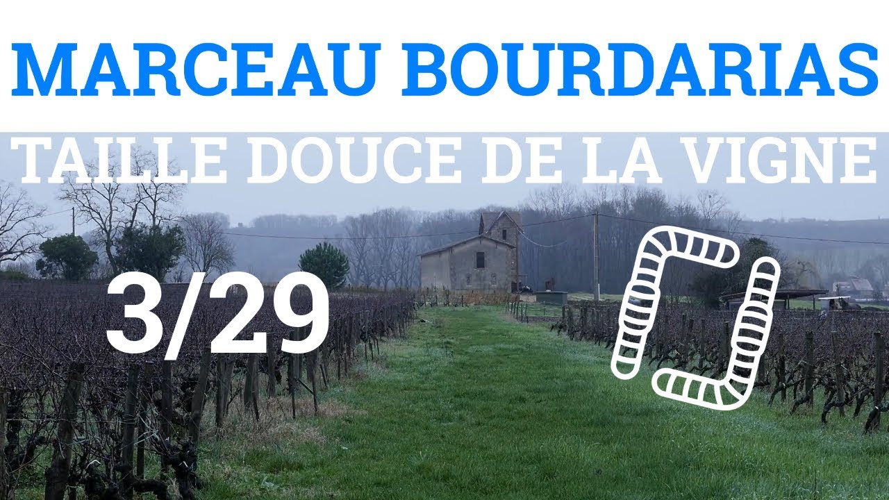 3/29 - M. BOURDARIAS - Taille Douce de la Vigne - Ecologie Végétale
