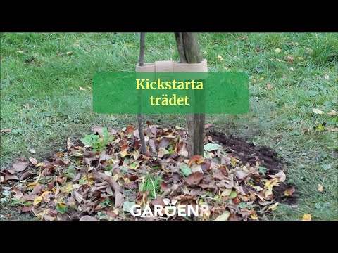 Kickstarta trädet - Trädgårdshacks med GardenR