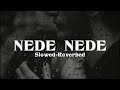 Nede Nede Alisha Chinai Slowed And Reverb