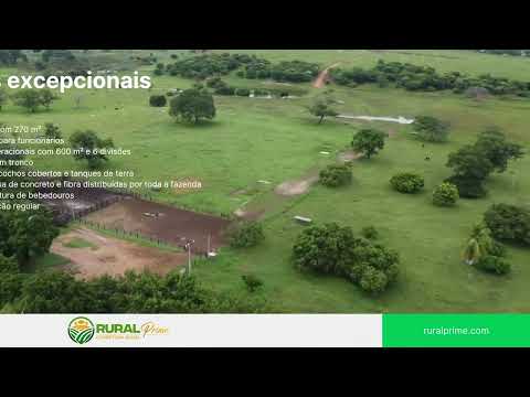Fazenda em Riachão das Neves - BA à venda.