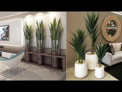 , title : '100 Modern indoor plants decor ideas 2021'