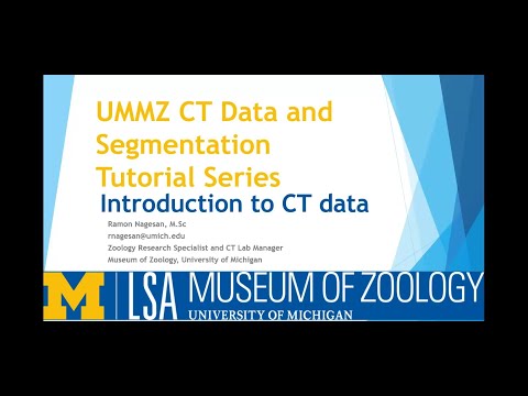 UMMZ CT Data & Segmentation Tutorial Series - Episode 2