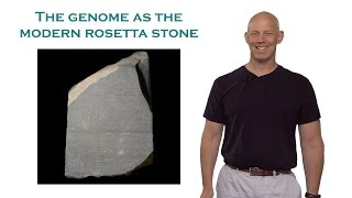 Rob Phillips (Caltech): The Genome as the Modern Rosetta Stone