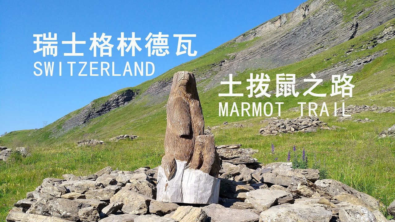 Embark on a virtual journey across Marmot Trail.