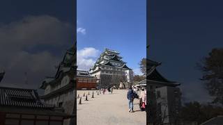 名古屋城といえば？？#空中ウォーク #スリックバック #スリックバックやり方     #slickback #LE_SSERAFIM #アックション#コンカフェ  #名古屋 #名古屋城#シャチホコ