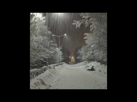 (free) *no drums* sad indie acoustic guitar type beat "dreaming"