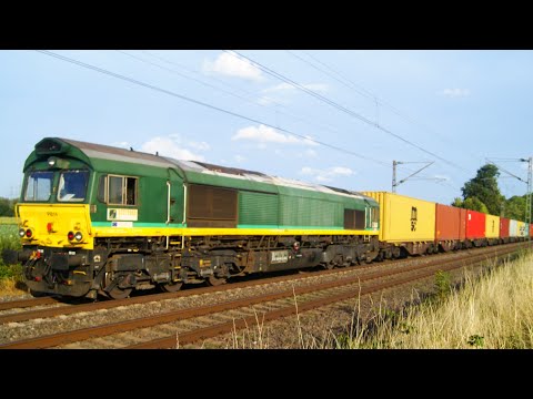 Züge auf der linken Rheinstrecke bei Bornheim (20.08.2019): 101, 110, 120, 186, Class 66, 460, 462