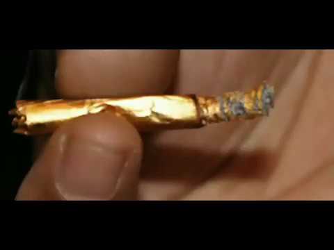 Angel Acosta-Golden Spoon "Corridos 2018"