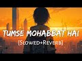 Tumse Mohabbat Hai Slowed Reverb Jalraj Safar Sad Song Sad Song 2023 Lofi Music Channel