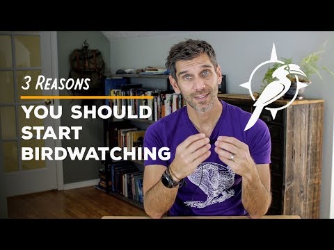 3 Reasons You Should Start Birdwatching