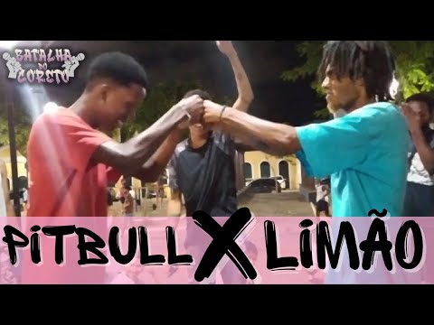 PITBULL vs LIMÃO | PRIMEIRA FASE