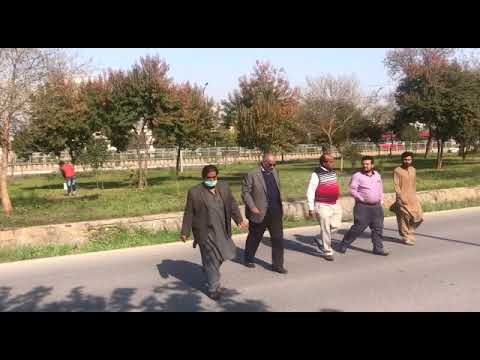 Thumbnail for Management of Toyota Capital Motors by Toyota