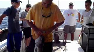 A day of fishing on the Cock Robin - Point Pleasant, NJ - Deep Sea Fishing