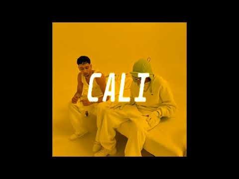 [FREE] LUCIO101 X NIZI19 X PASHANIM Type Beat - "CALI" (prod by egge) WESTCOAST TYPE Beat 2023