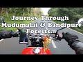 Mudumalai Bandipur Forest Ride An Epic Bike Ride Through Forest Tamilnadu Karnataka