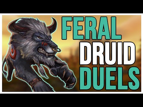 FERAL DRUID PvP DUELS 1V1 - WARMANE 3.3.5 PVP WotLK Classic(Tips) 2022