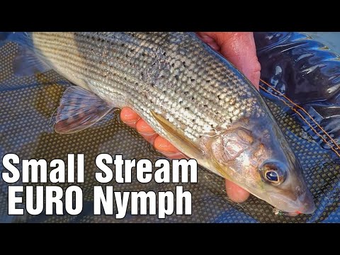 Small Stream Winter Grayling - Euro Nymph Fly Fishing