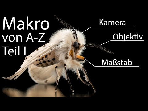 Der große MAKRO Crashkurs 📸 Makro Fotografie Teil 1 Objektiv, Kamera, Abbildungsmaßstab usw!!
