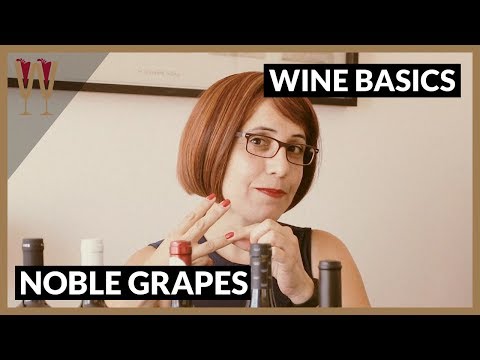 Introduction to the Noble Grapes