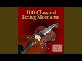 Brandenburg Concerto No.3 In G Major, BWV 1048, I. Allegro Moderato