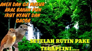 Download lagu Terapi srdc biar cepat bunyi .di iringi suara air mengalir untuk menyembuhkan srdc stres malas bunyi mp3 Download lagu Terapi srdc biar cepat bunyi .di iringi suara air mengalir untuk menyembuhkan srdc stres malas bunyi mp3