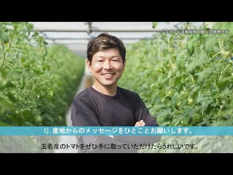 重炭酸ナトリウムによるトマトの疫病の治療。庭での白い粉の10の使い方  庭園