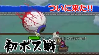 【Terraria】マスターハードコア その6～勝てばよかろうなのだぁ編【テラリア】