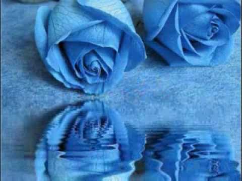 NEITHER ONE OF US - (Lyrics)