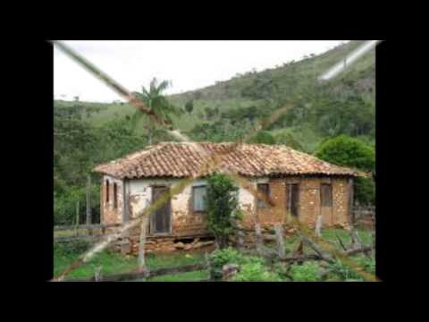 meu jacarandá video