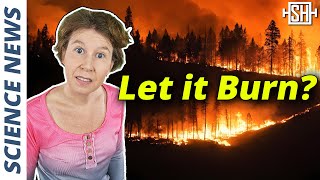 Let Wildfires Burn, Scientists Say