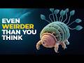 The Insane Biology of: The Tardigrade DEFAULT Thumbnail