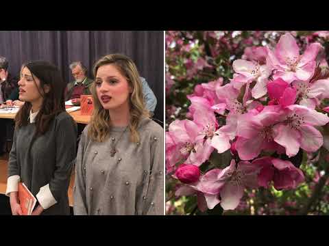 Црвен цвете - “Јединство” у Прагу (Crven cvete - ”Jedinstvo” u Pragu)