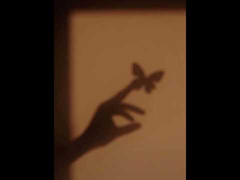 ຕື່ນຈາກຝັນ ( ตื่นจากฝัน ) - BAY6IX & LALA l COVER Jqnny ft. Ttko @ttkoooooo