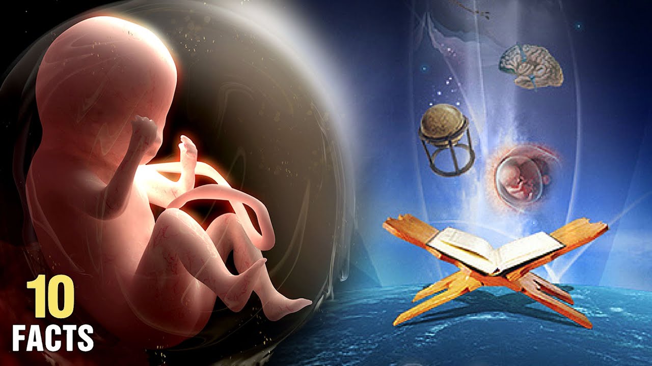 Top 10 Surprising Miracles In The Holy Quran - Compilation