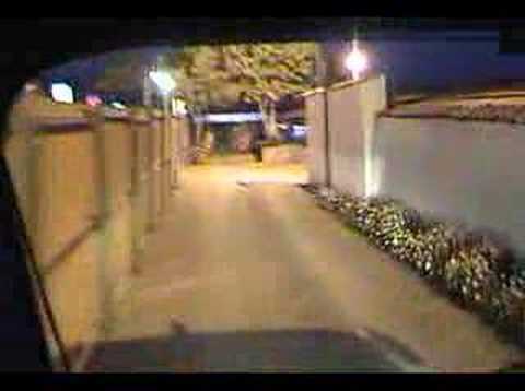 X Dinero - Photo Vegetal