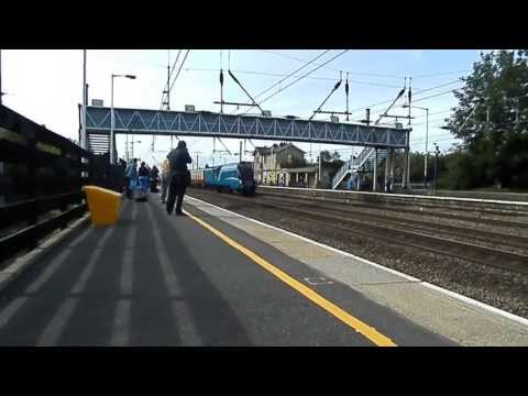 Bittern at 90MPH with The Ebor Streak 29 June 2013