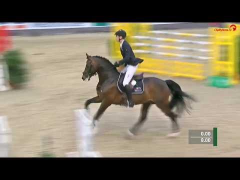 DialoNMS2018 - Dirk Ahlmann