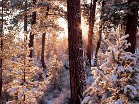 Erick E -﻿ Ya Don't Stop