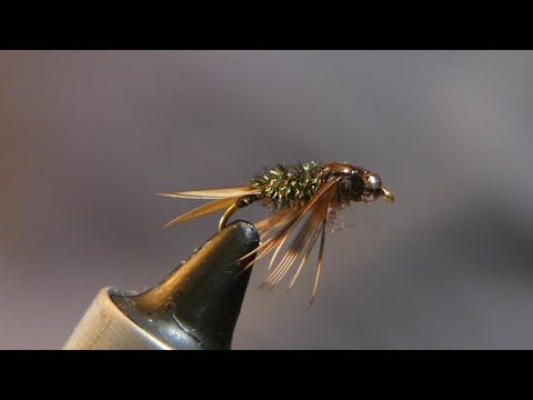 20 Incher Stonefly (Catch & Tie)