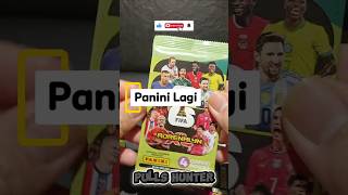 Panini Card #pullshunter #panini #worldcup #worldcup2026 #unboxing #lays